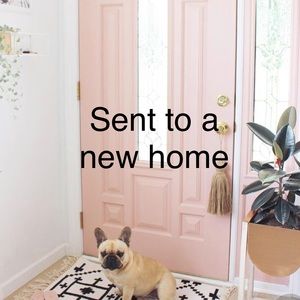 Everything from this point has found a new 🏡